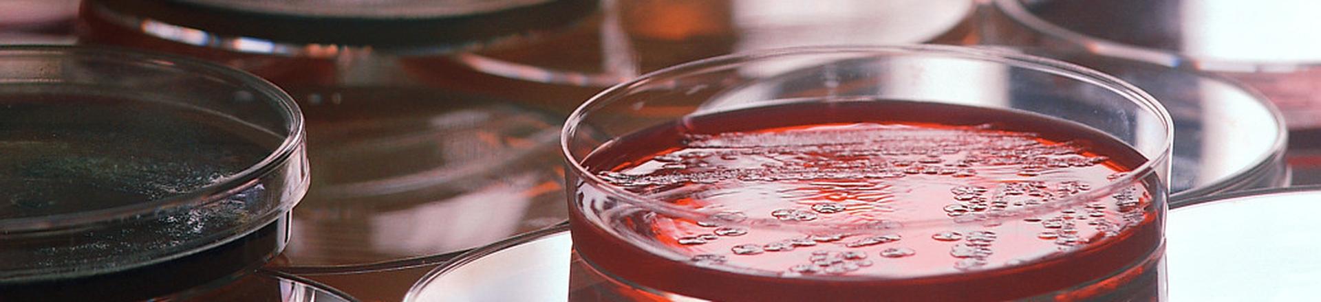 Pharmaceutical Microbiology for Non-Microbiologists